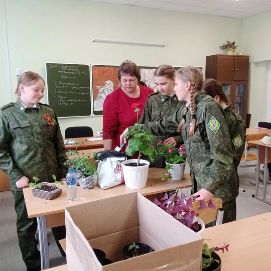 ВЫРАЩИВАЕМ РАССАДУ САМИ.